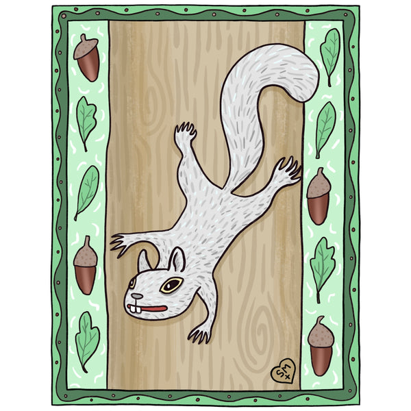 Eastern Gray Squirrel