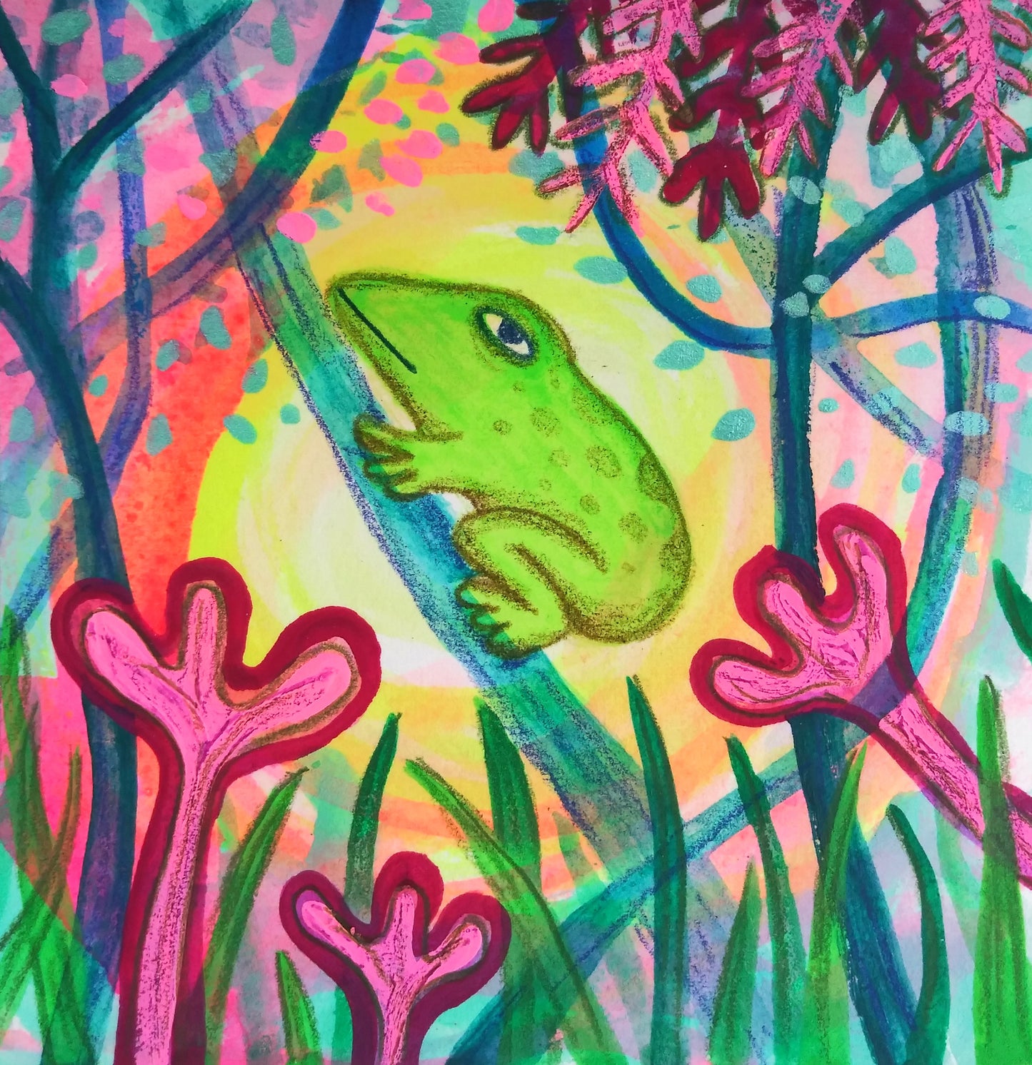 Tree Frog