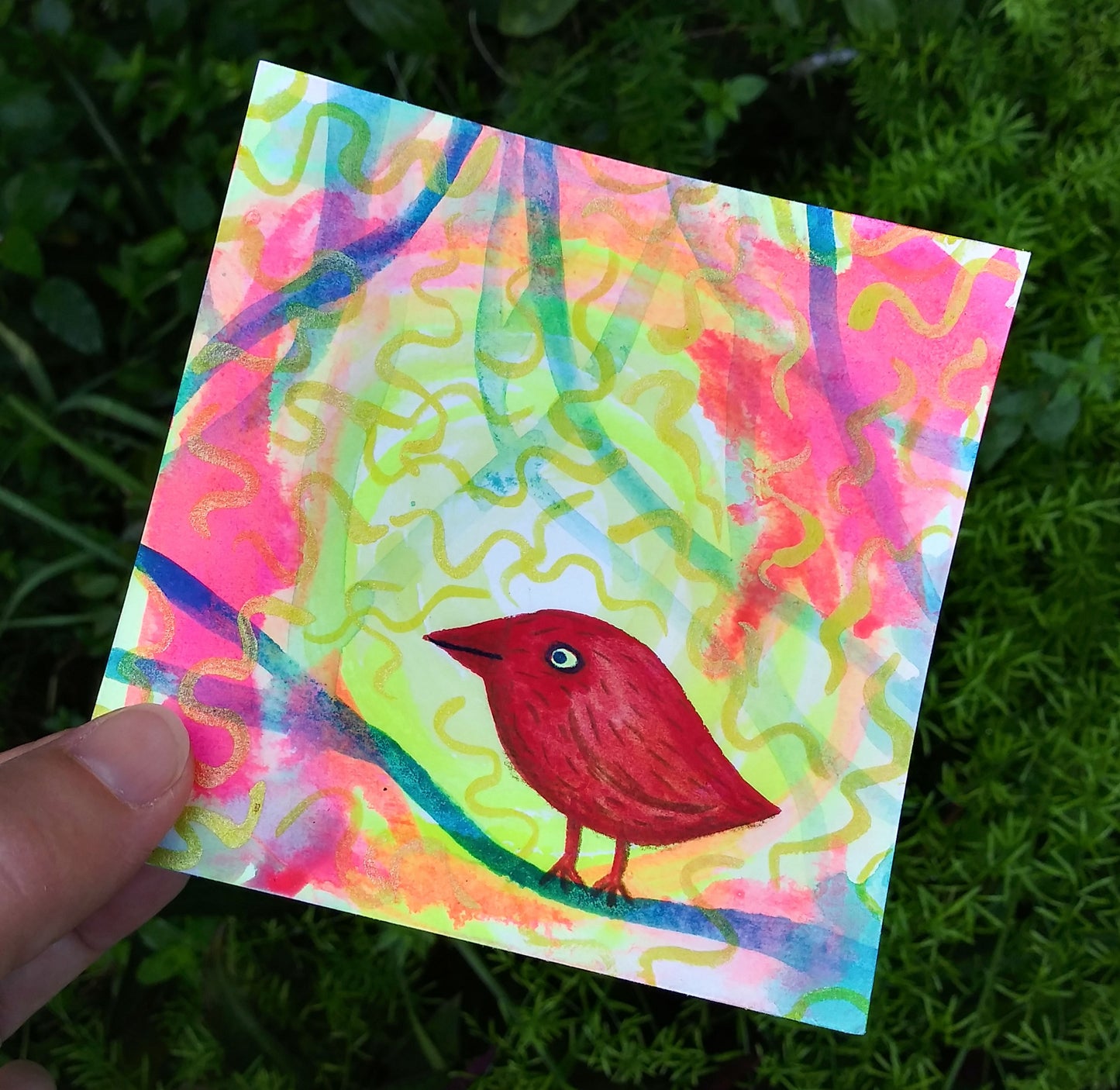 Red Bird in the Sunshine