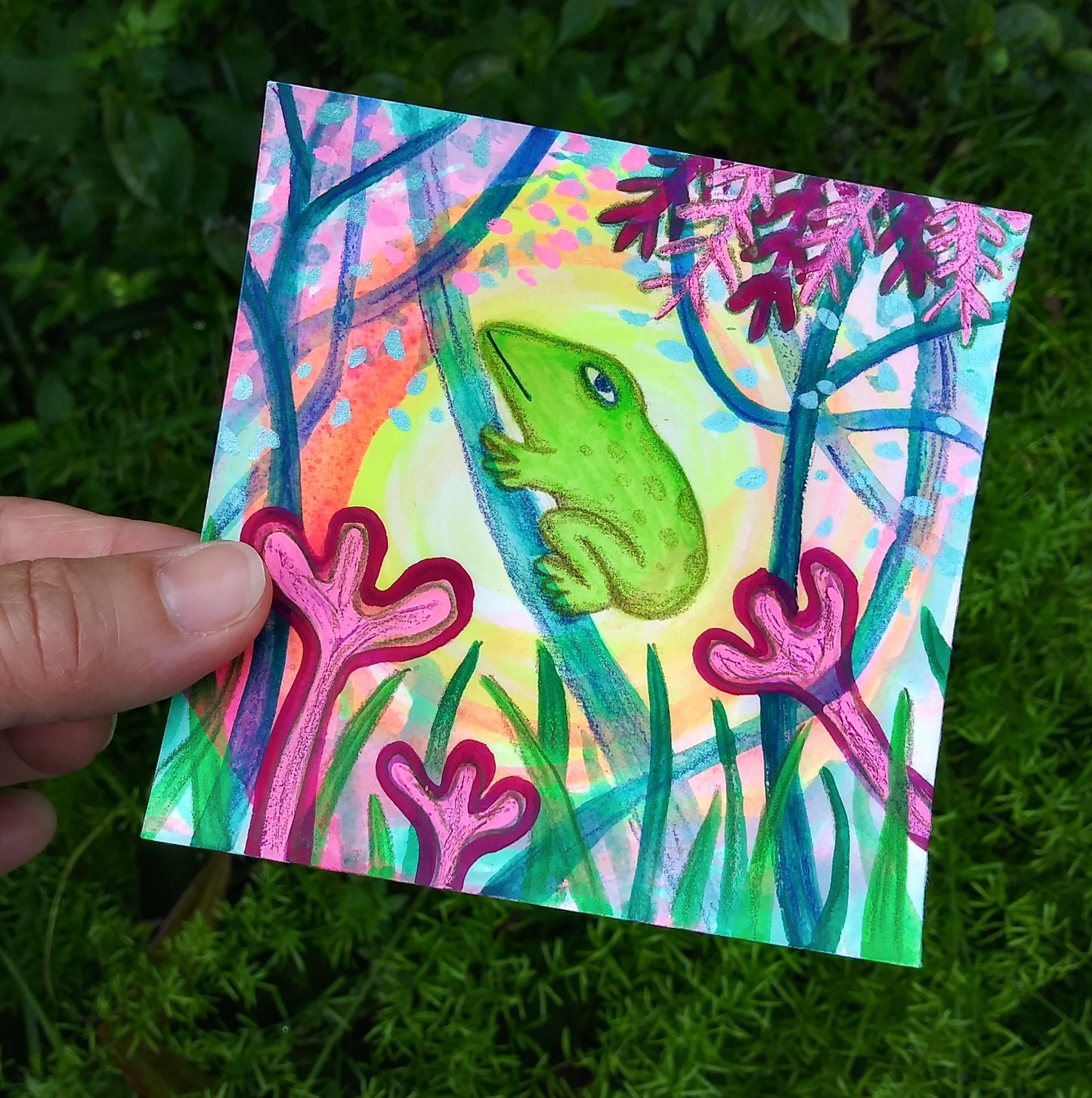 Tree Frog