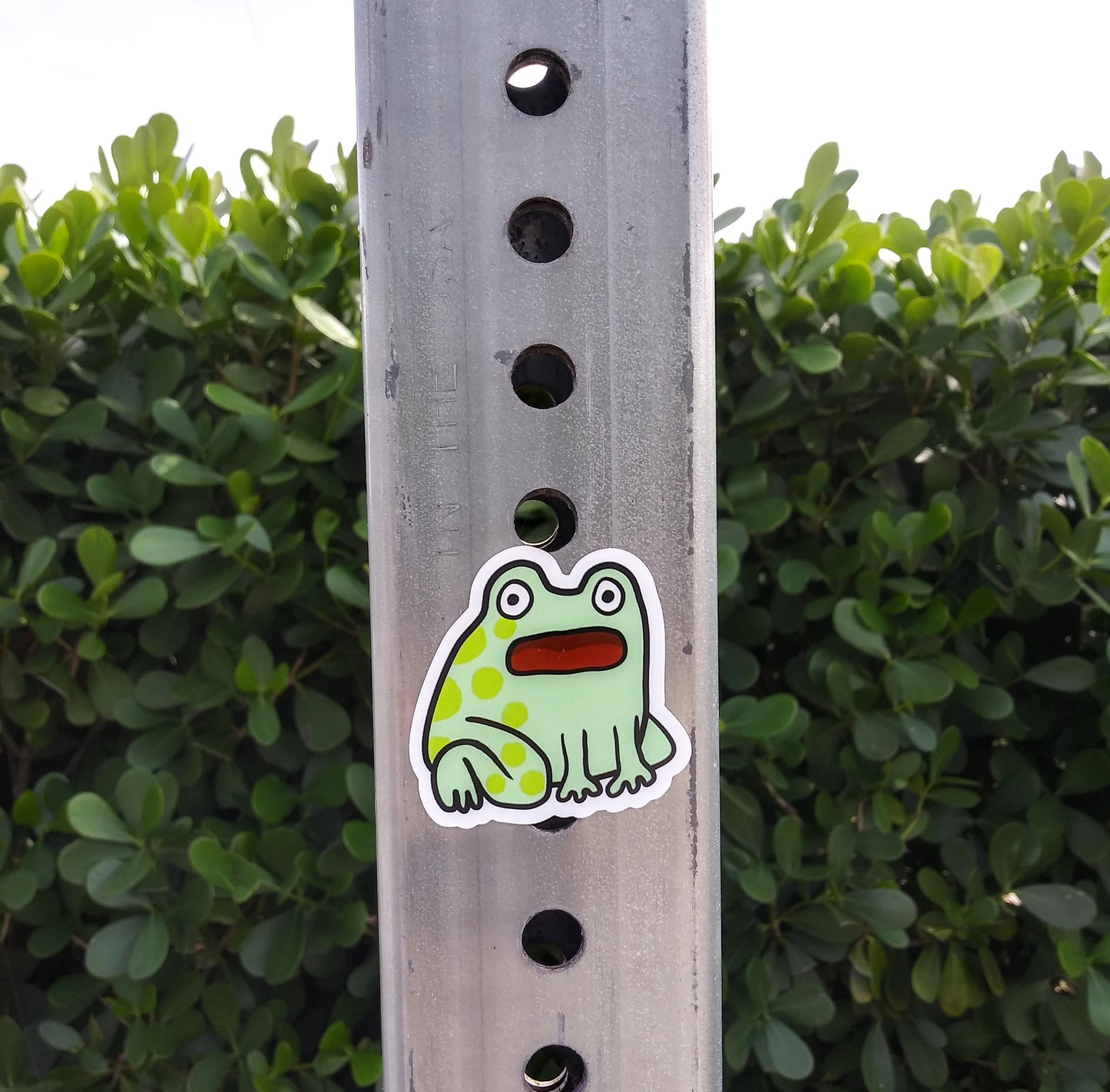 Singing Frog