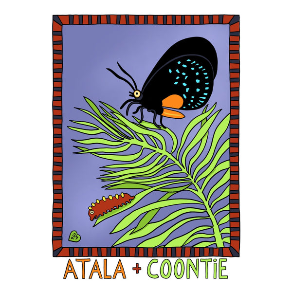 Atala + Coontie