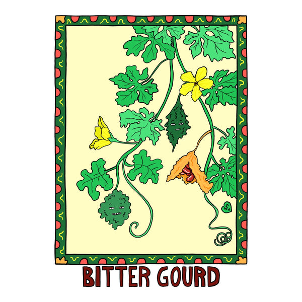Bitter Gourd