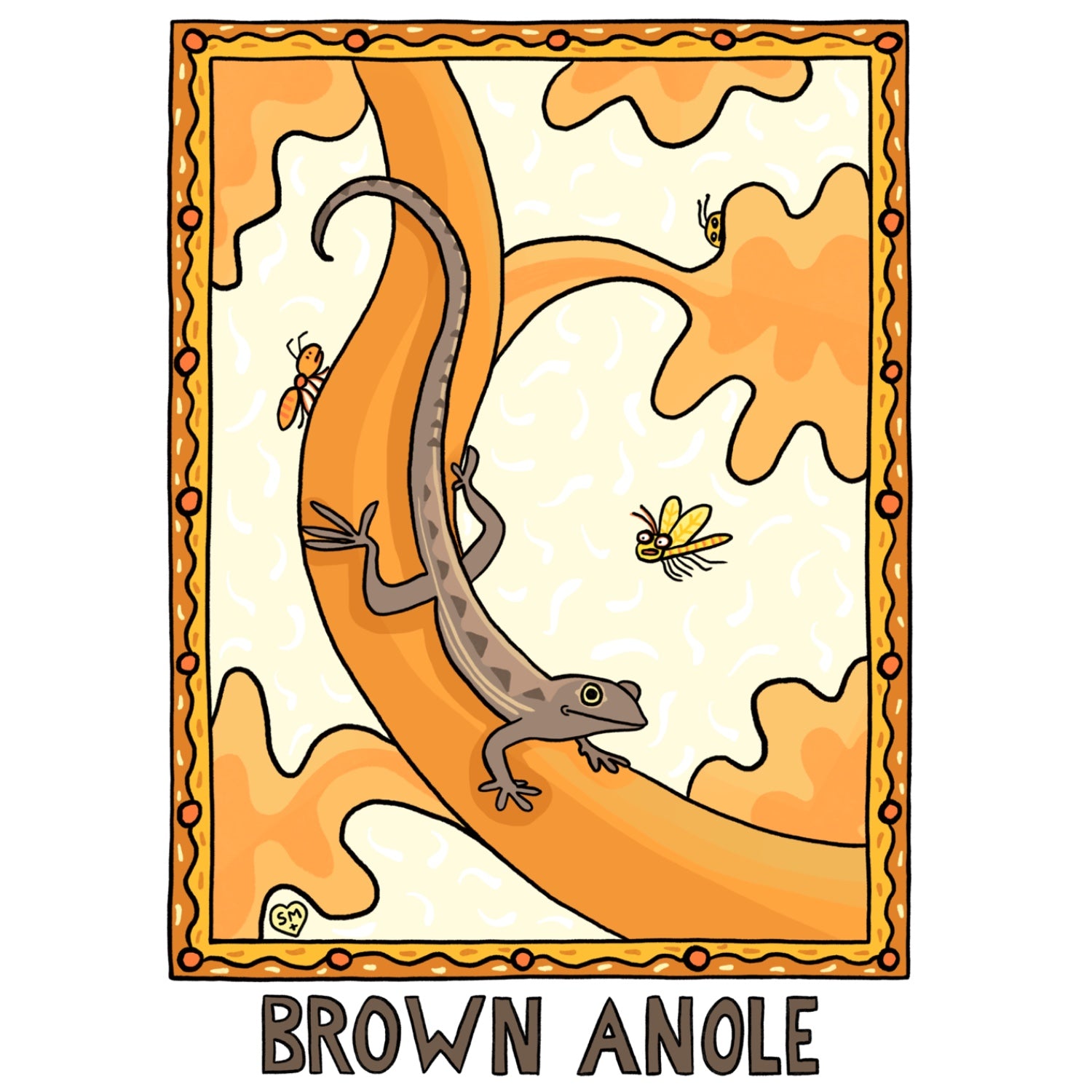 Brown Anole