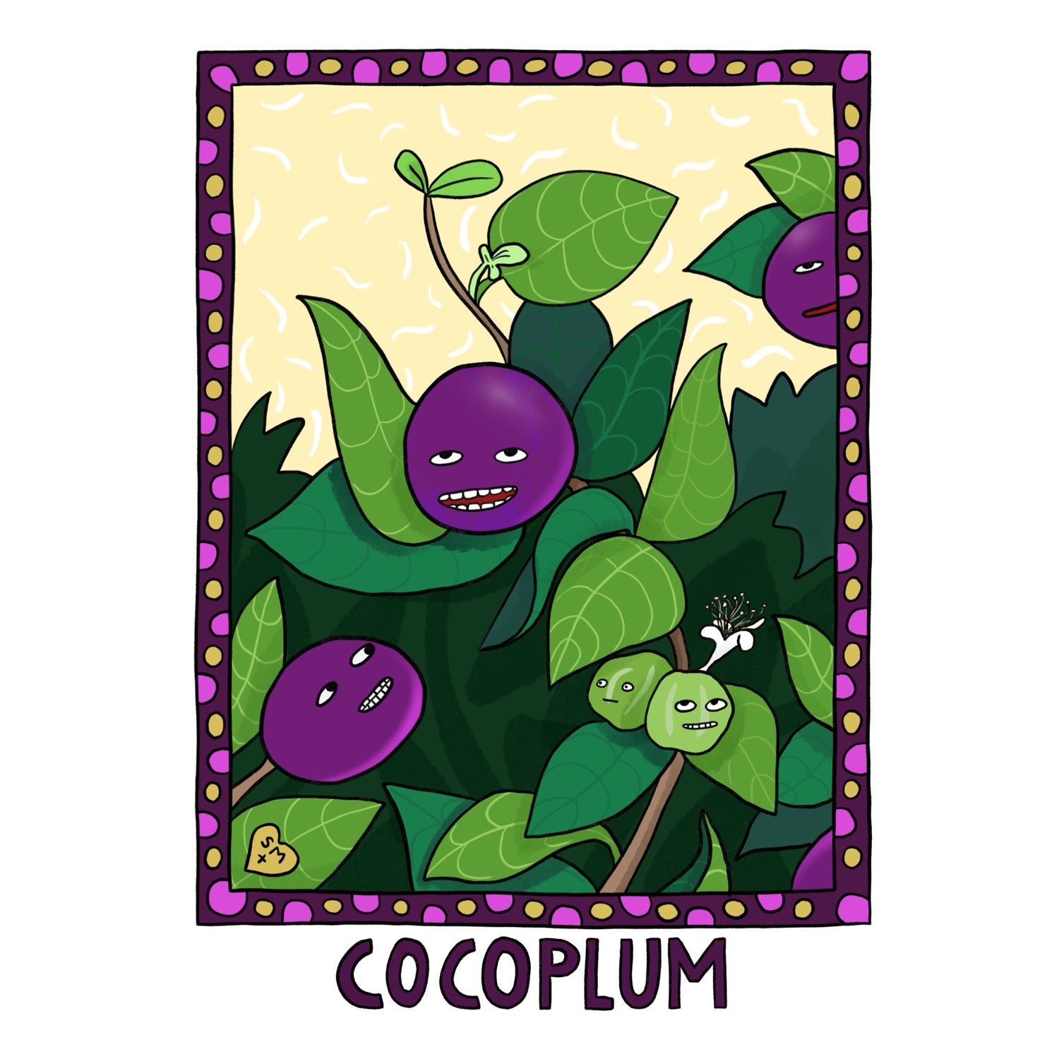 Cocoplum