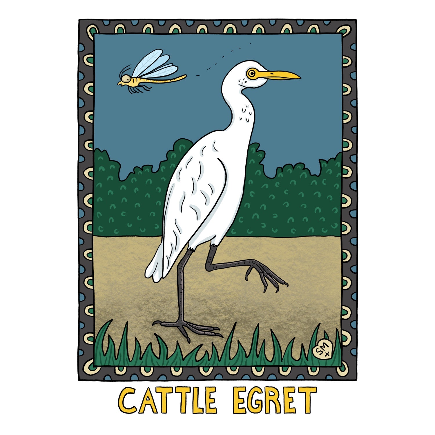 Cattle Egret