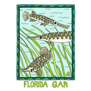 Florida Gar