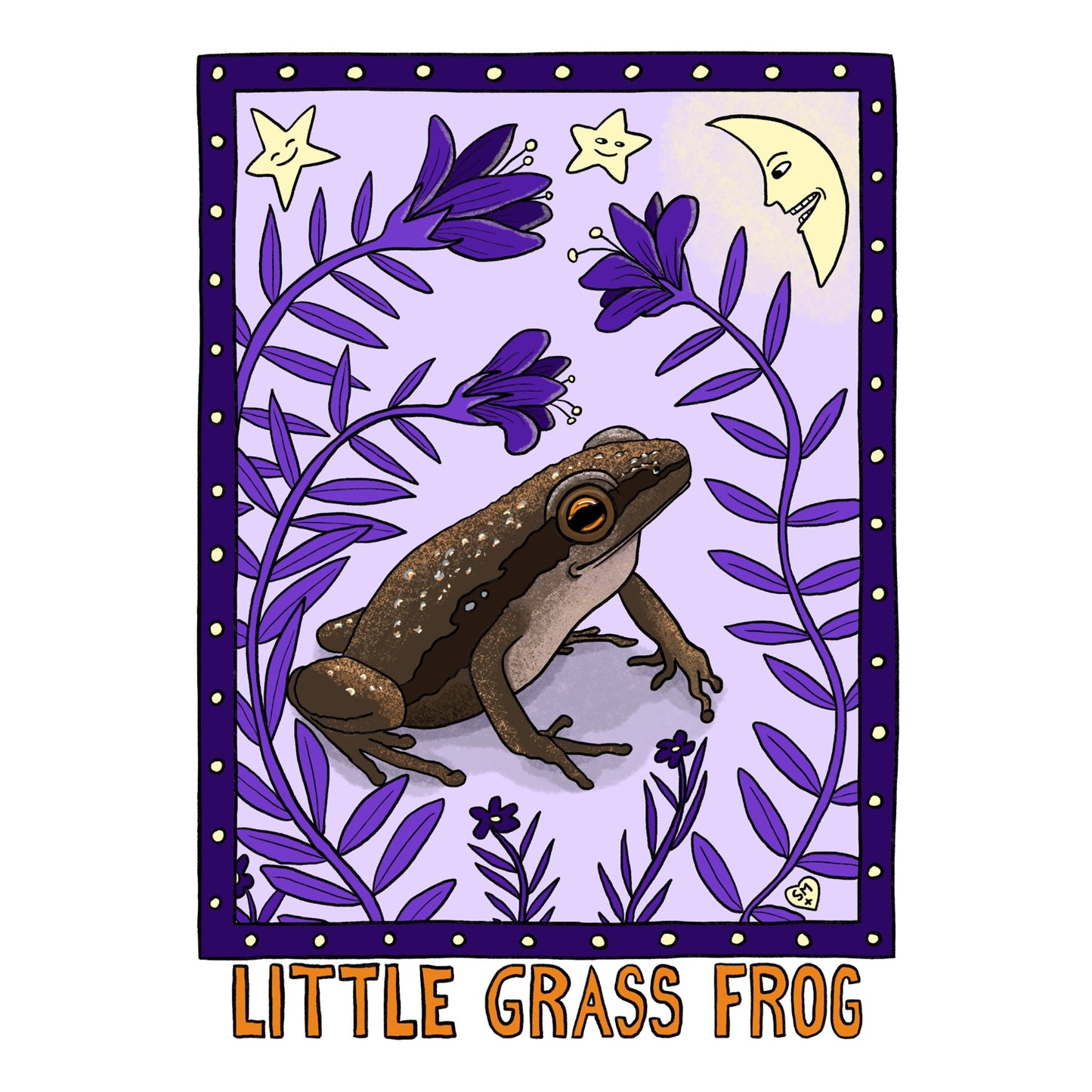 Little Grass Frog