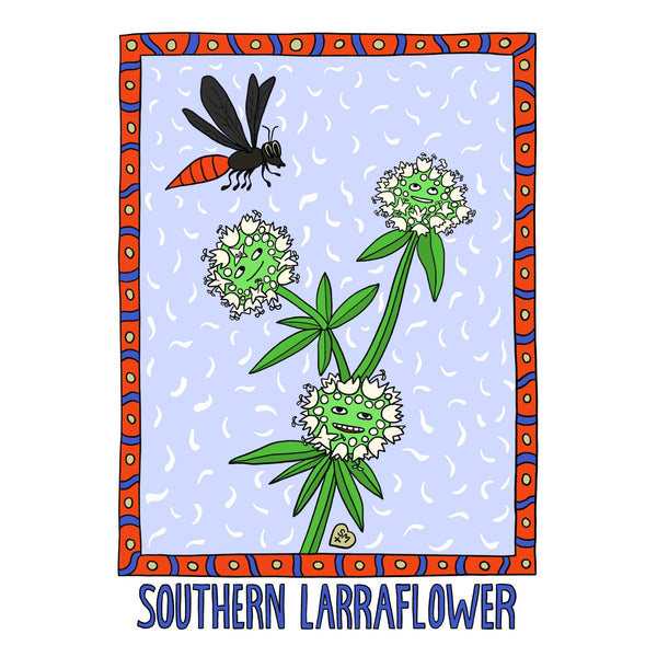 Southern Larraflower