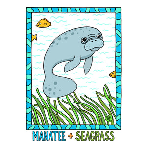 Manatee + Seagrass