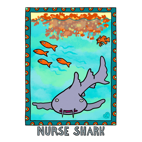 Nurse Shark