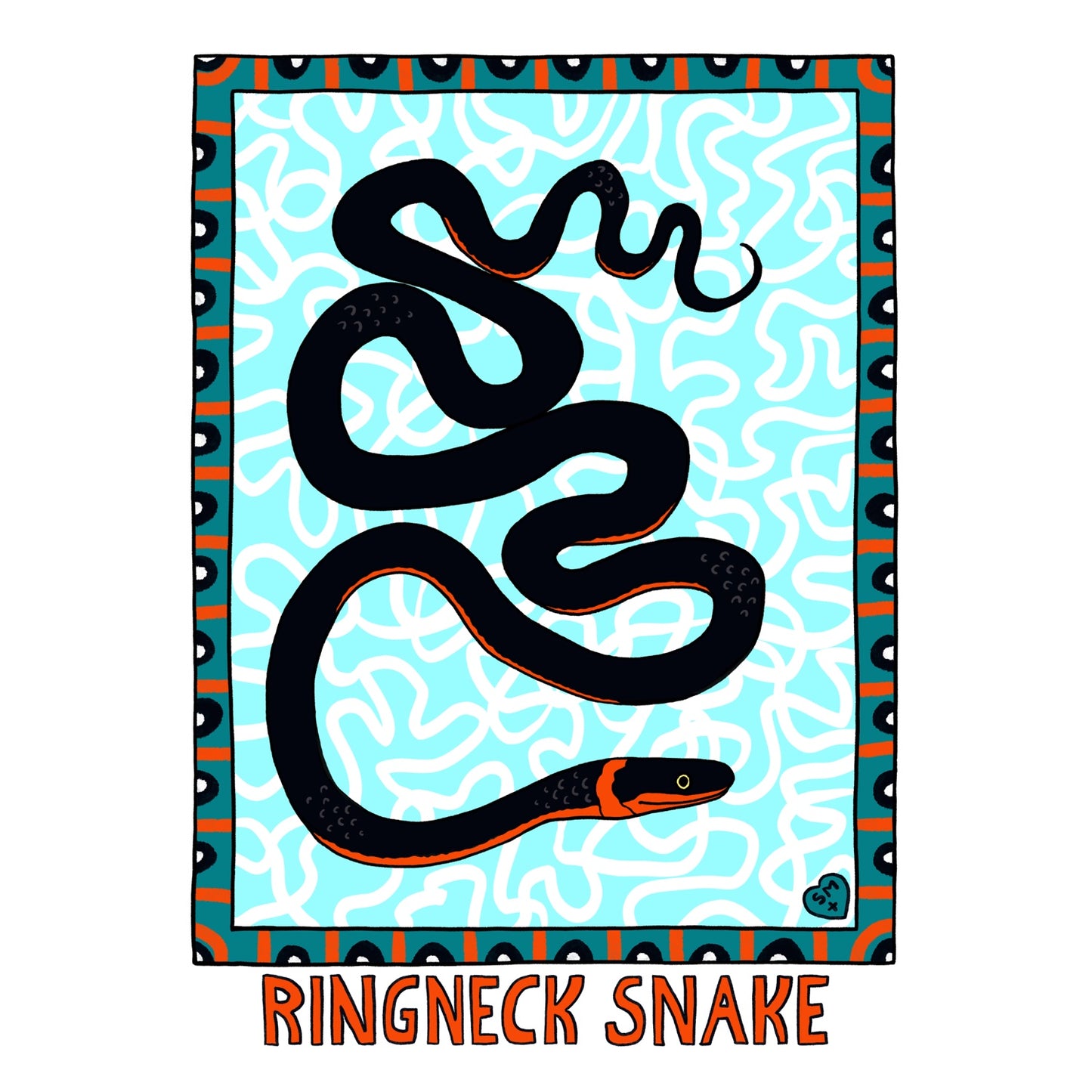 Ringneck Snake