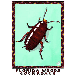 Florida Woods Cockroach