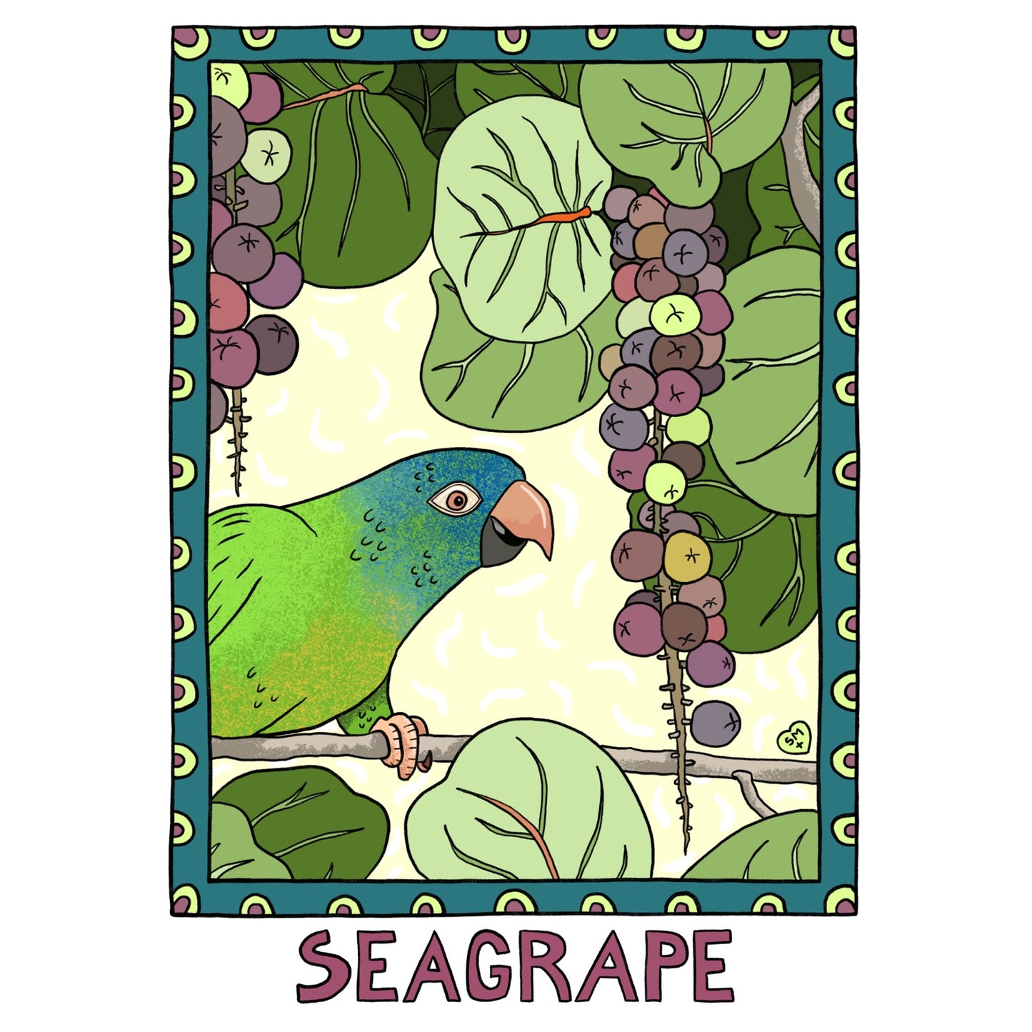 Seagrape