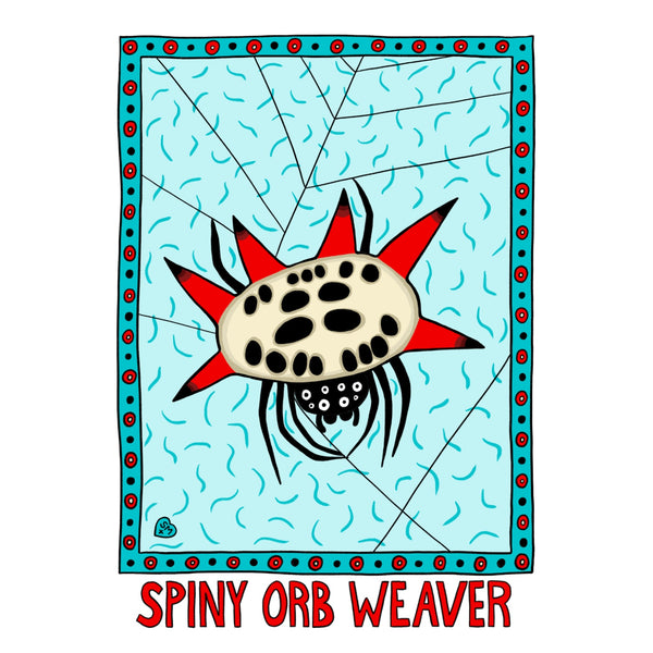 Spiny Orb Weaver