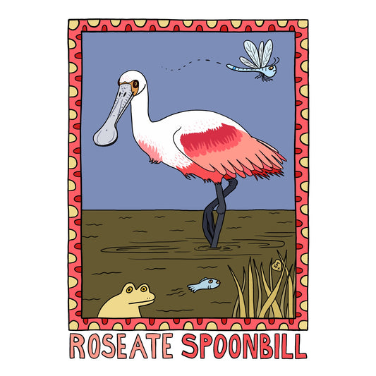 Roseate Spoonbill