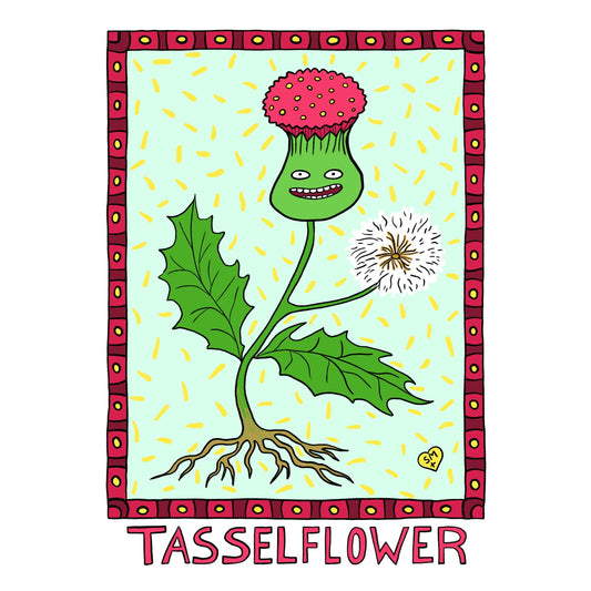 Tasselflower