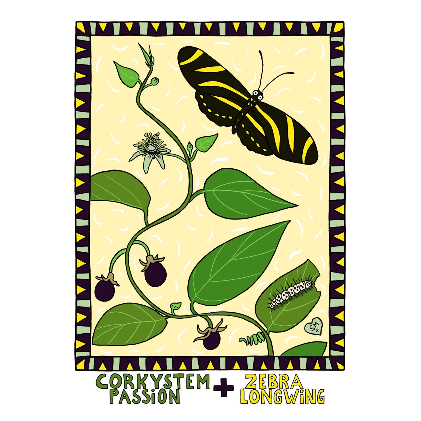 Corkystem Passion + Zebra Longwing