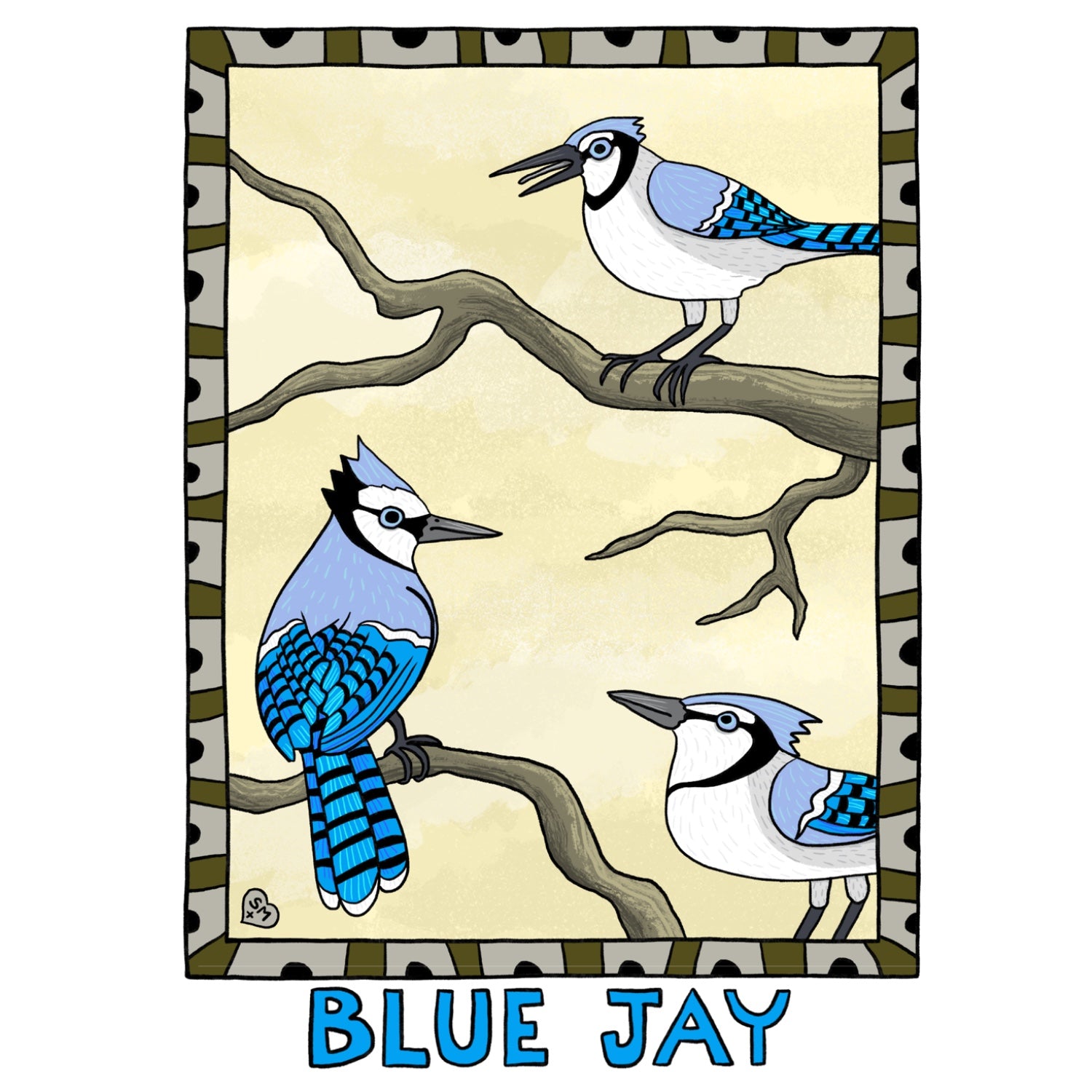 Blue Jay