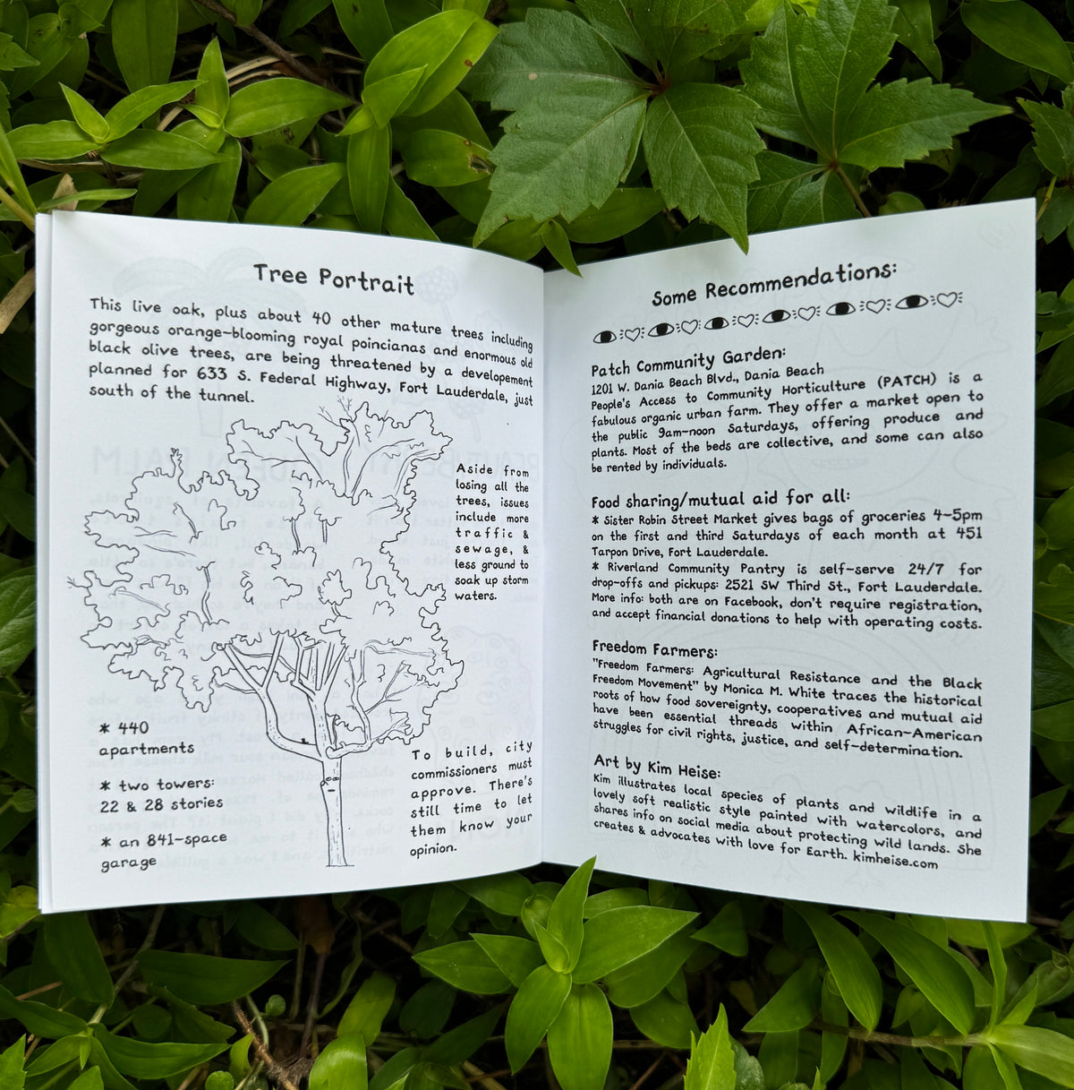Grounding - by mail, monthly subscription