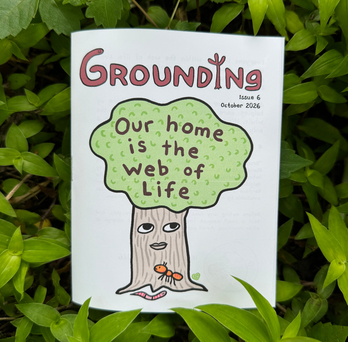 Grounding - by mail, monthly subscription