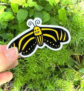 Zebra Longwing