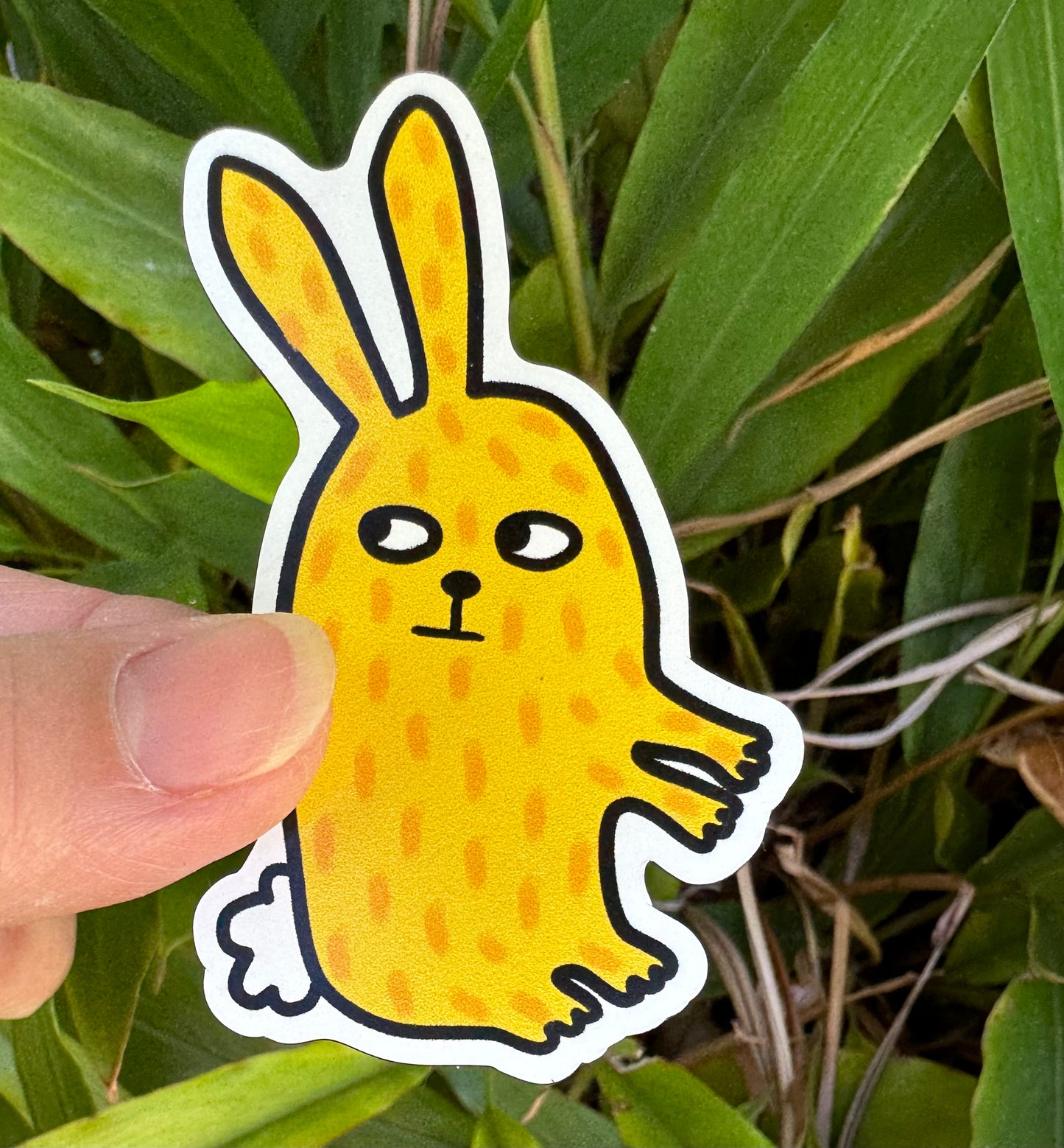 Rabbit