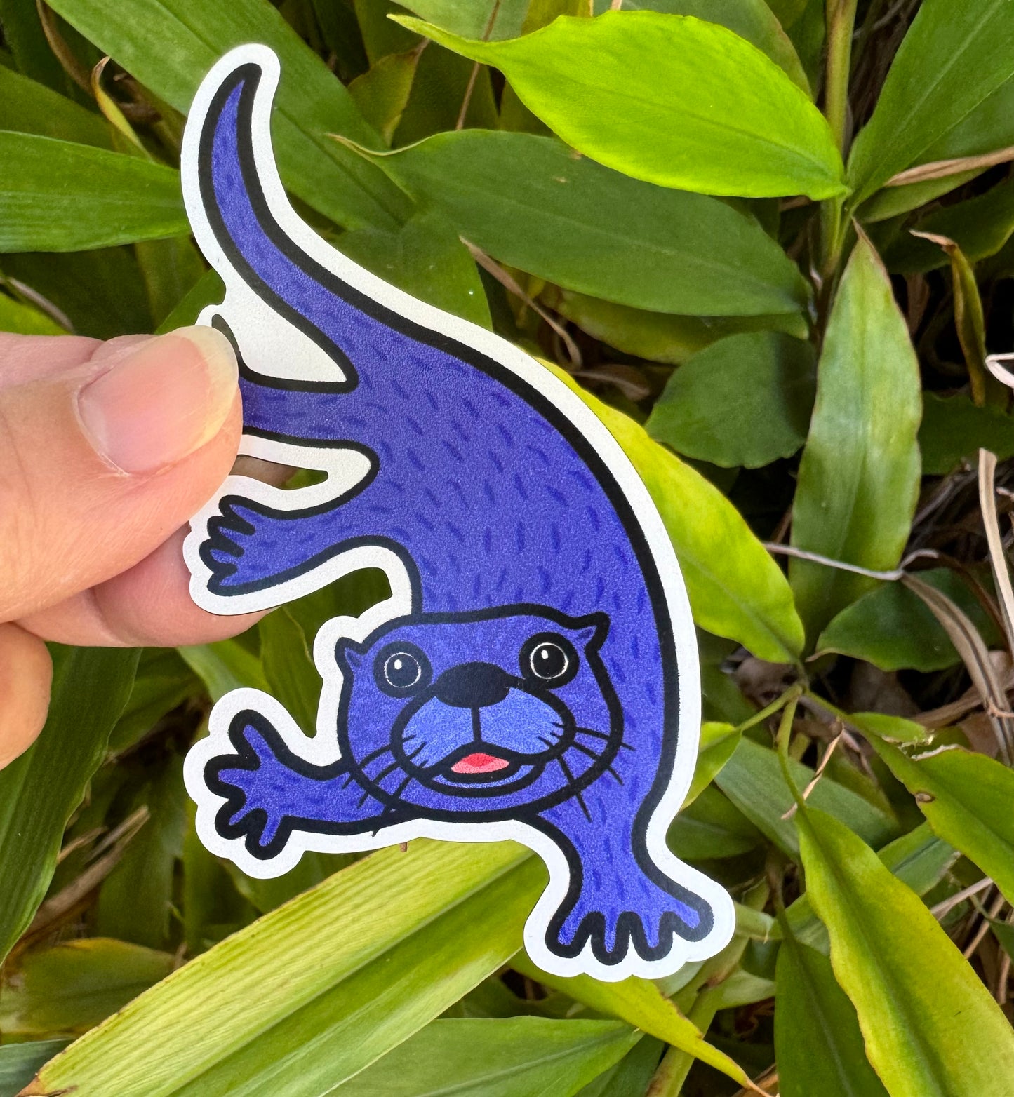 Otter
