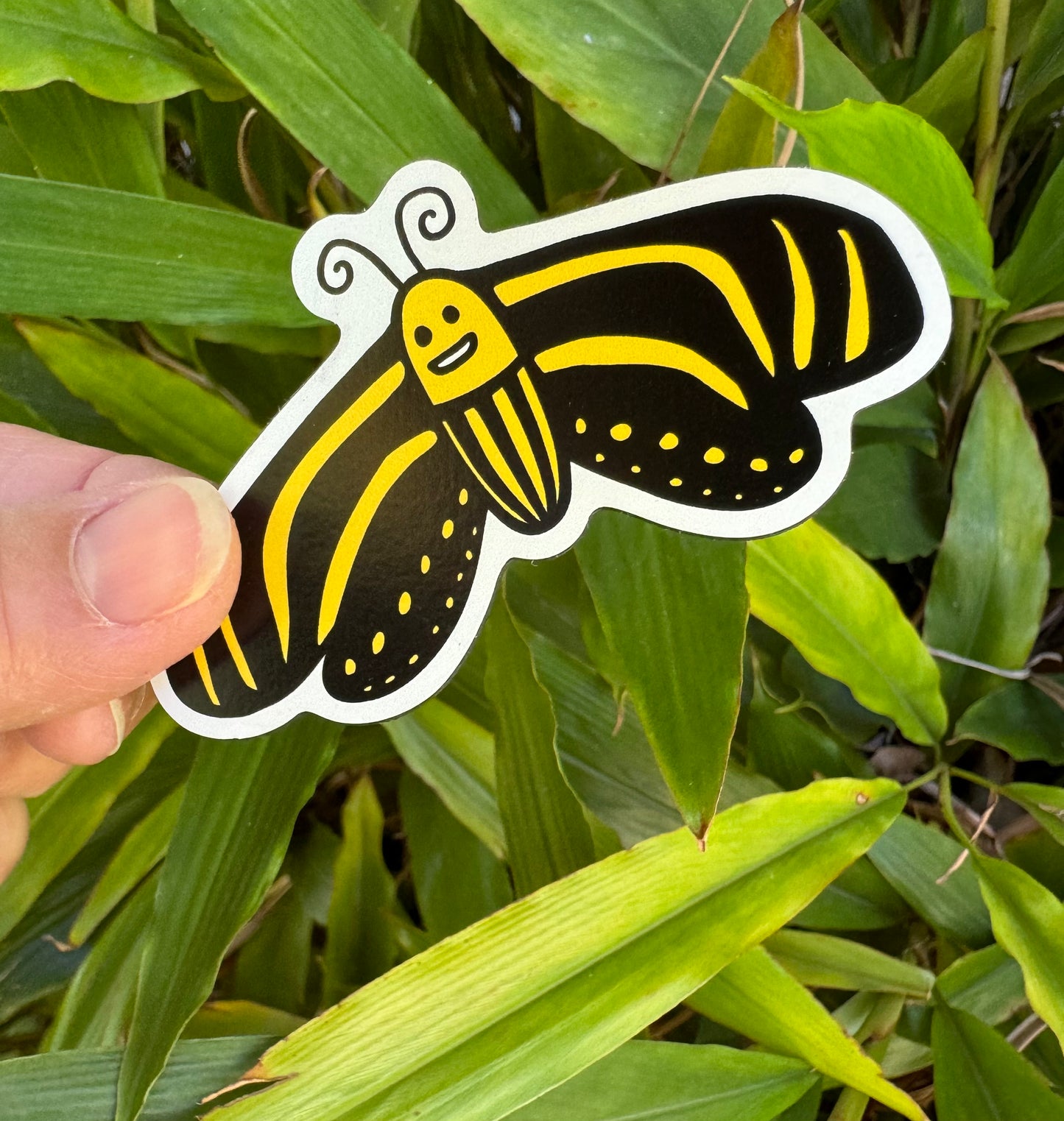 Zebra Longwing