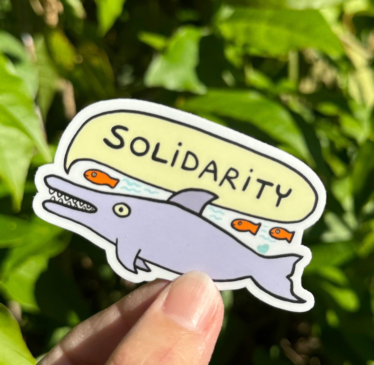 Solidarity