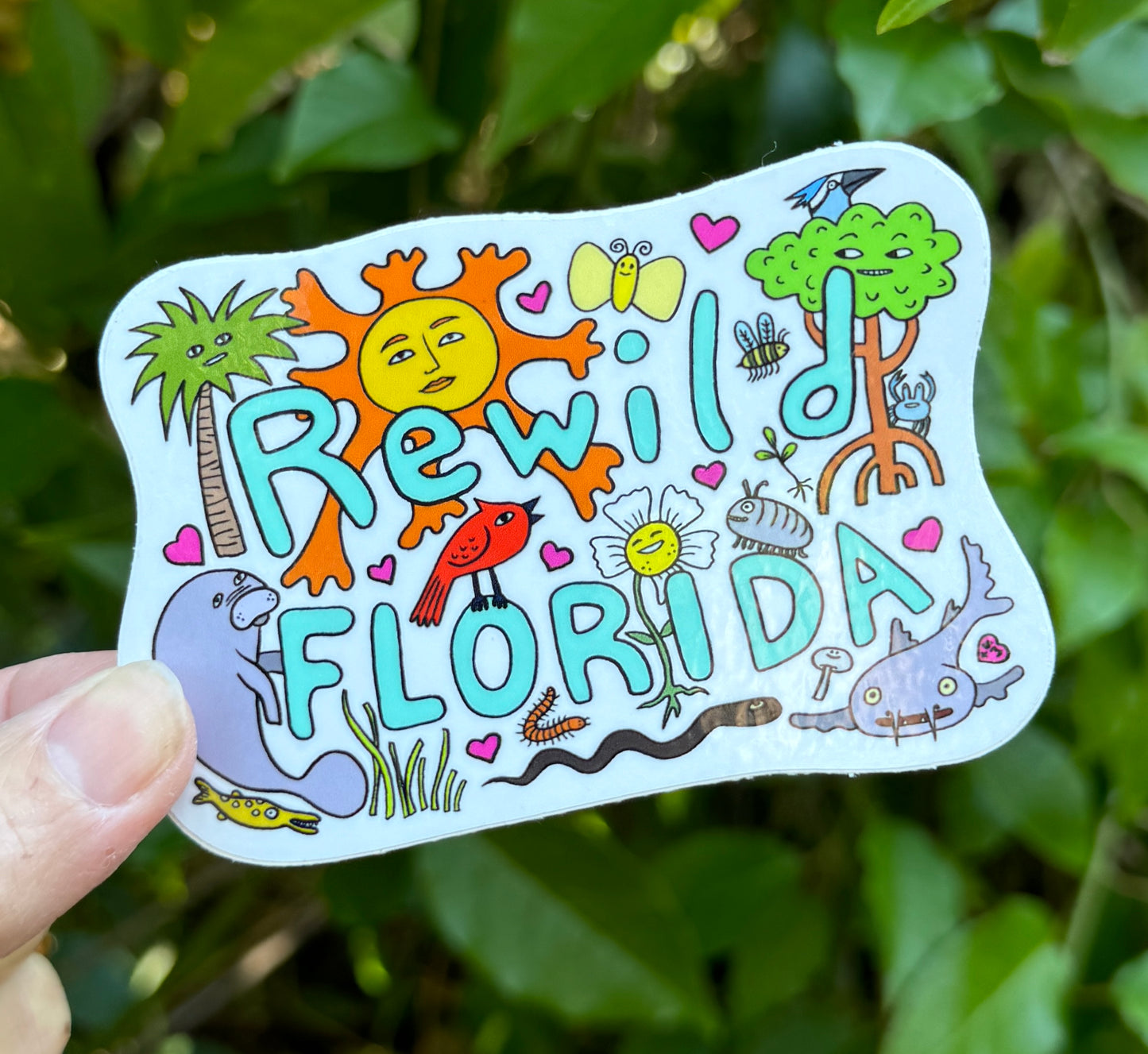 Rewild Florida
