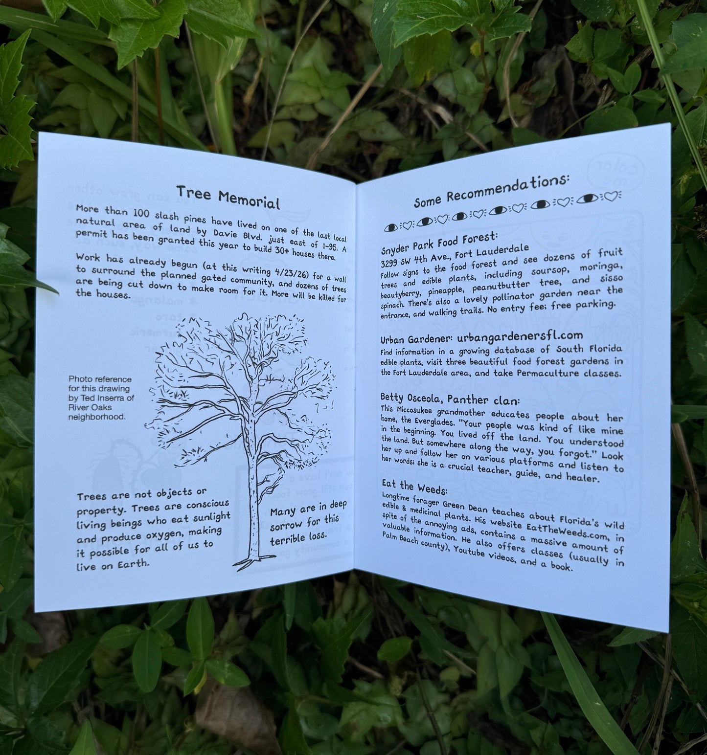 Grounding - catch up: May 2026 issue