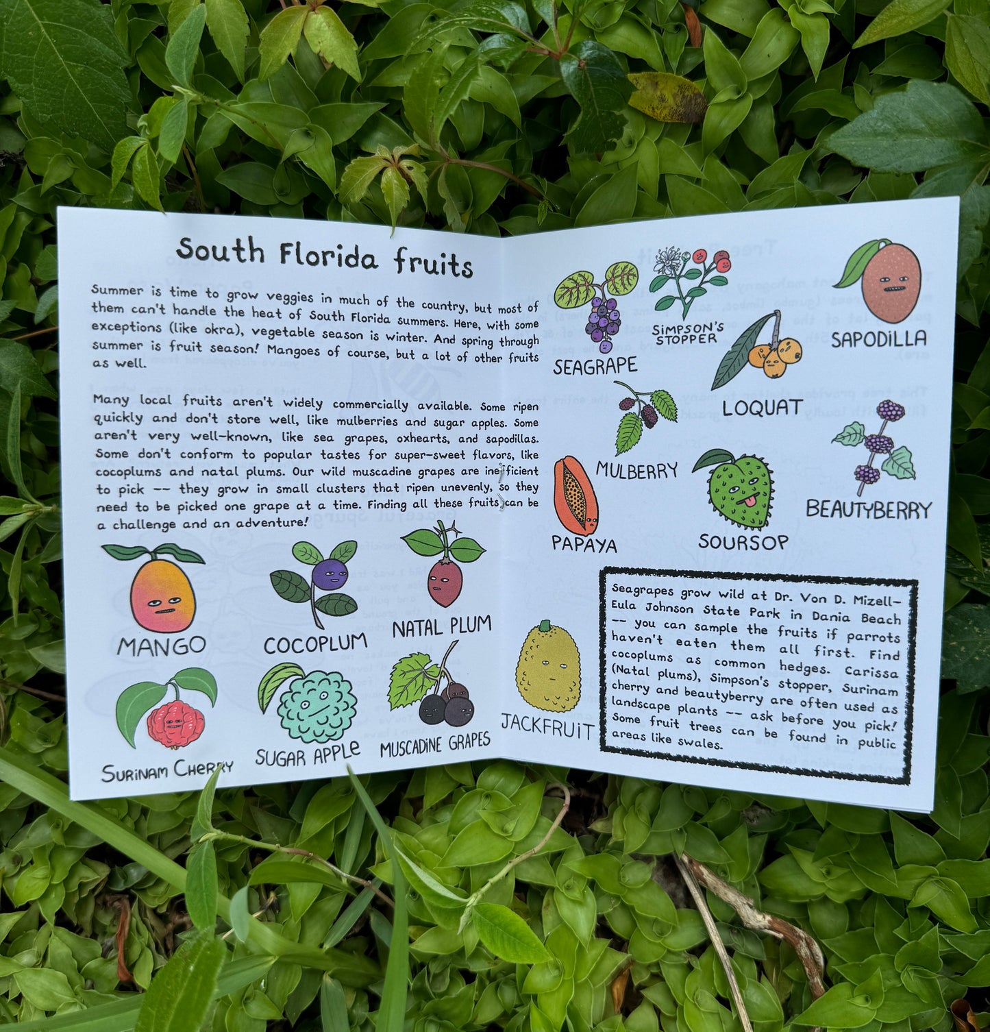 Grounding - by mail, monthly subscription