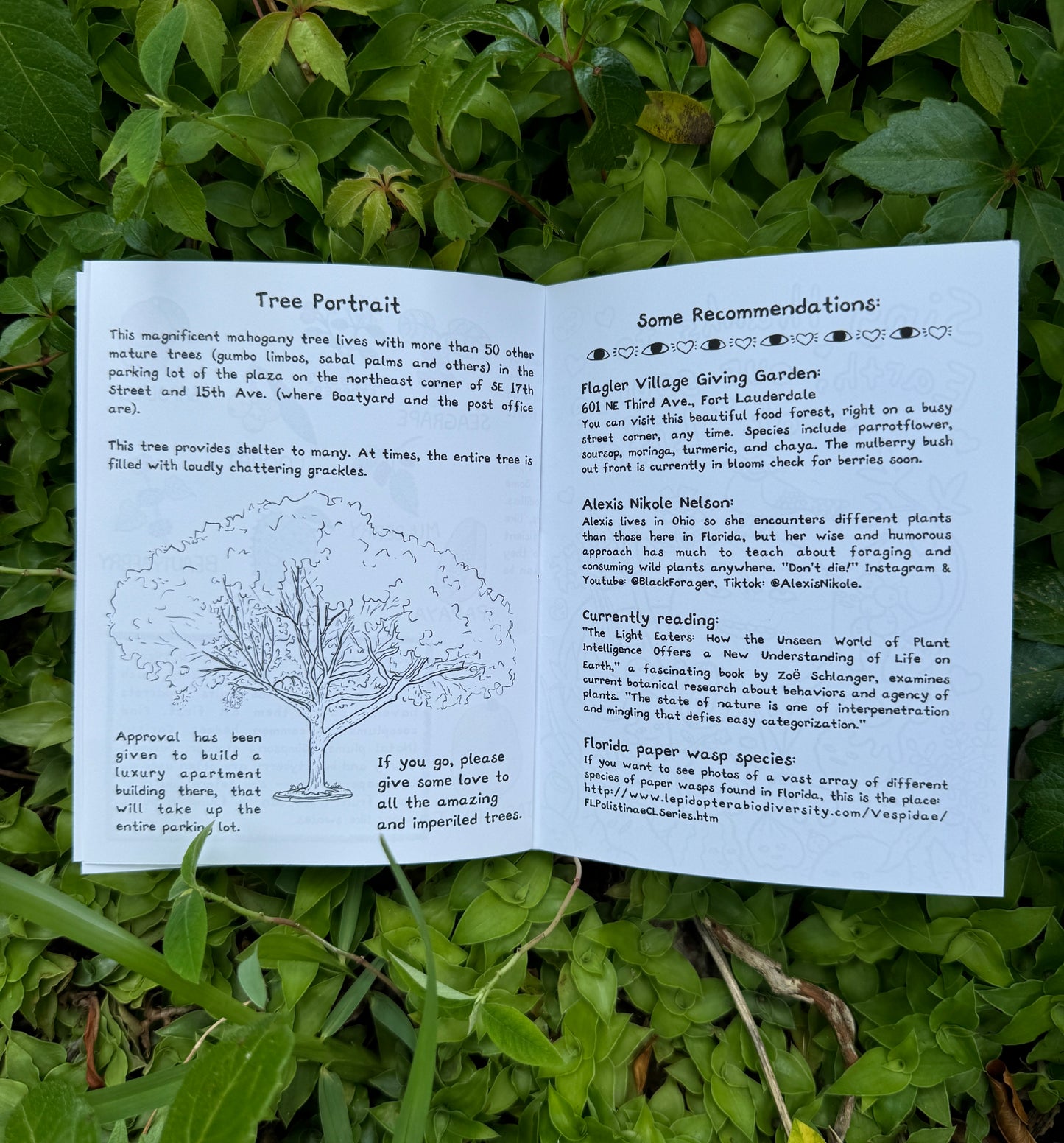 Grounding - by mail, monthly subscription