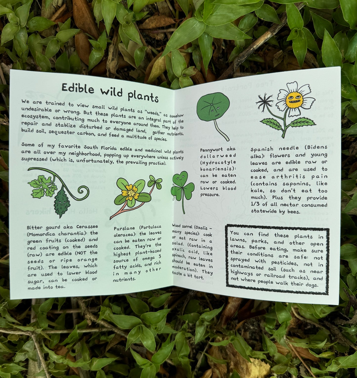 Grounding - by mail, annual subscription 15% off