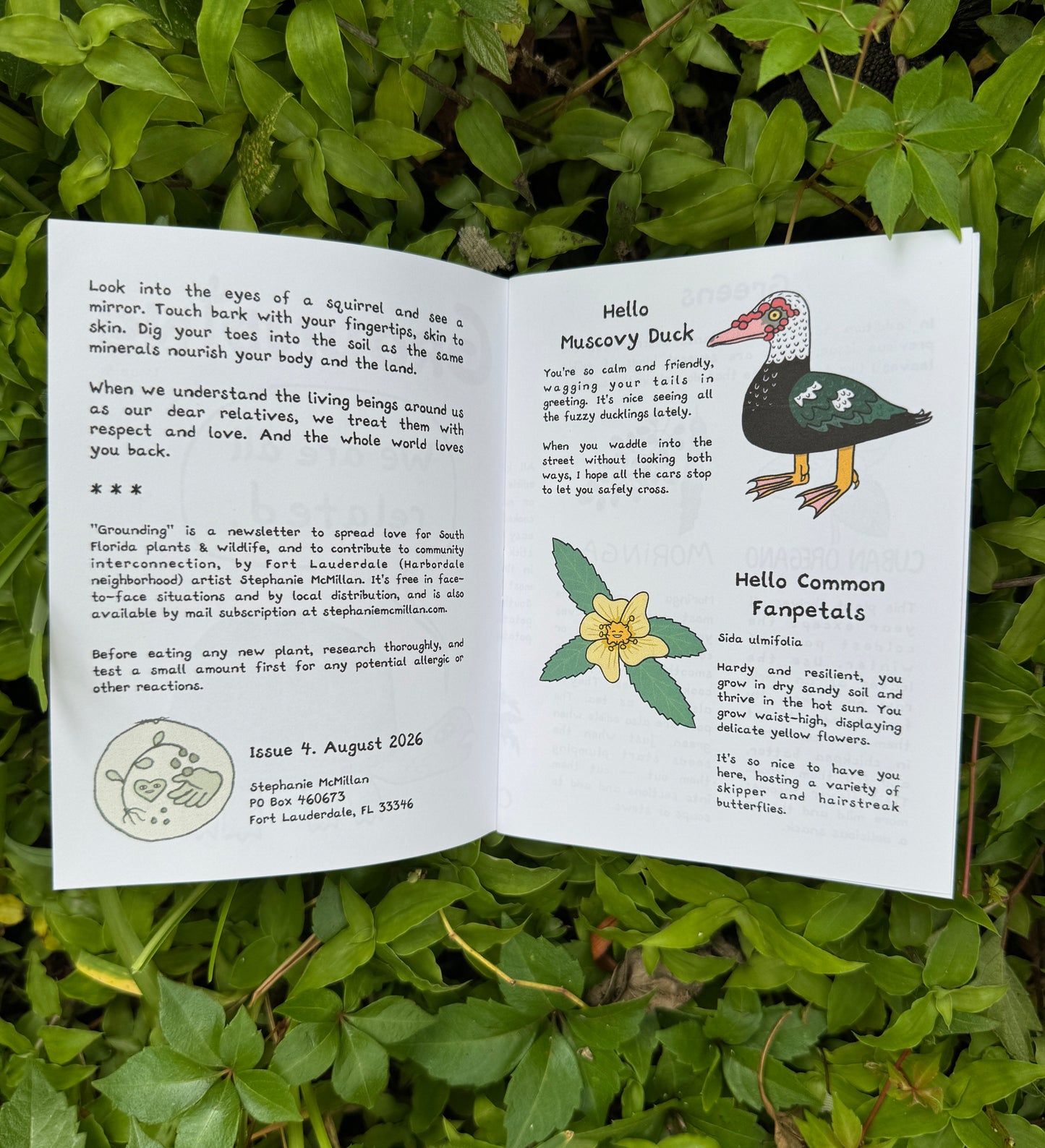 Grounding with Extra Art - by mail, monthly subscription