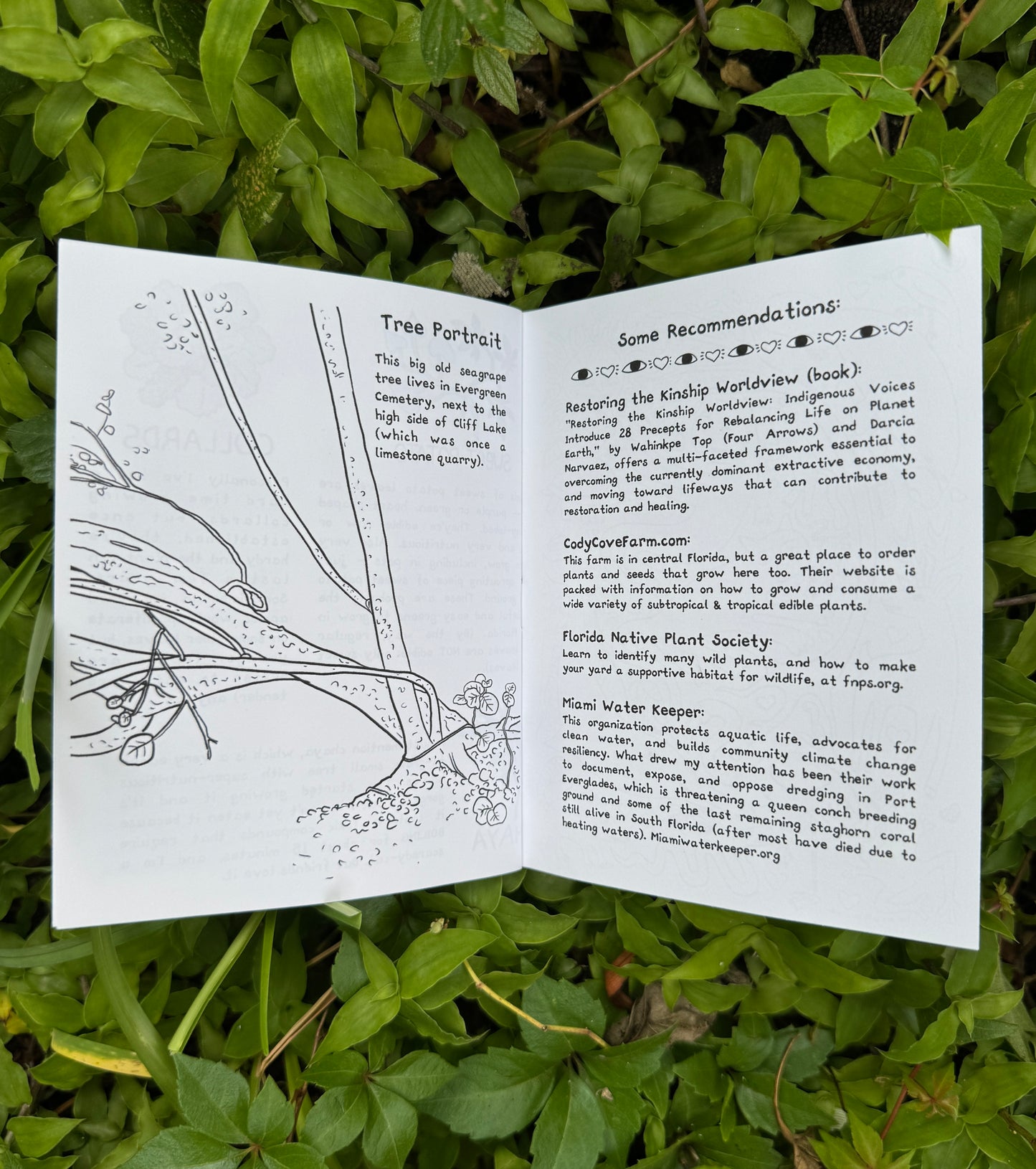 Grounding with Extra Art - by mail, monthly subscription