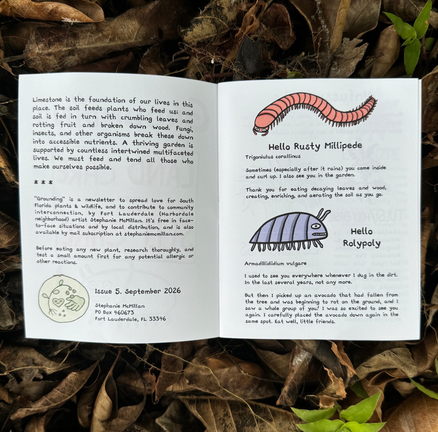 Grounding with Extra Art - by mail, annual subscription 15% off