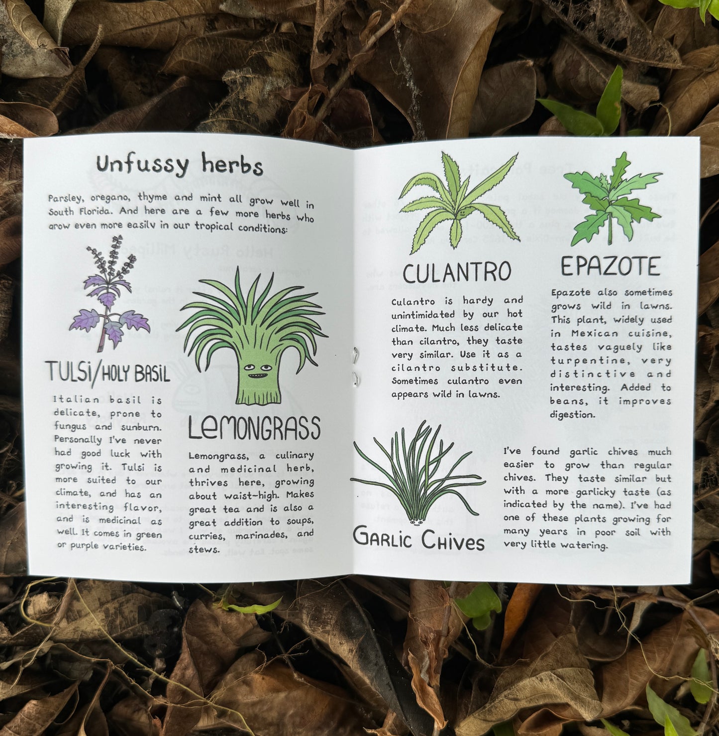 Grounding with Extra Art - by mail, annual subscription 15% off