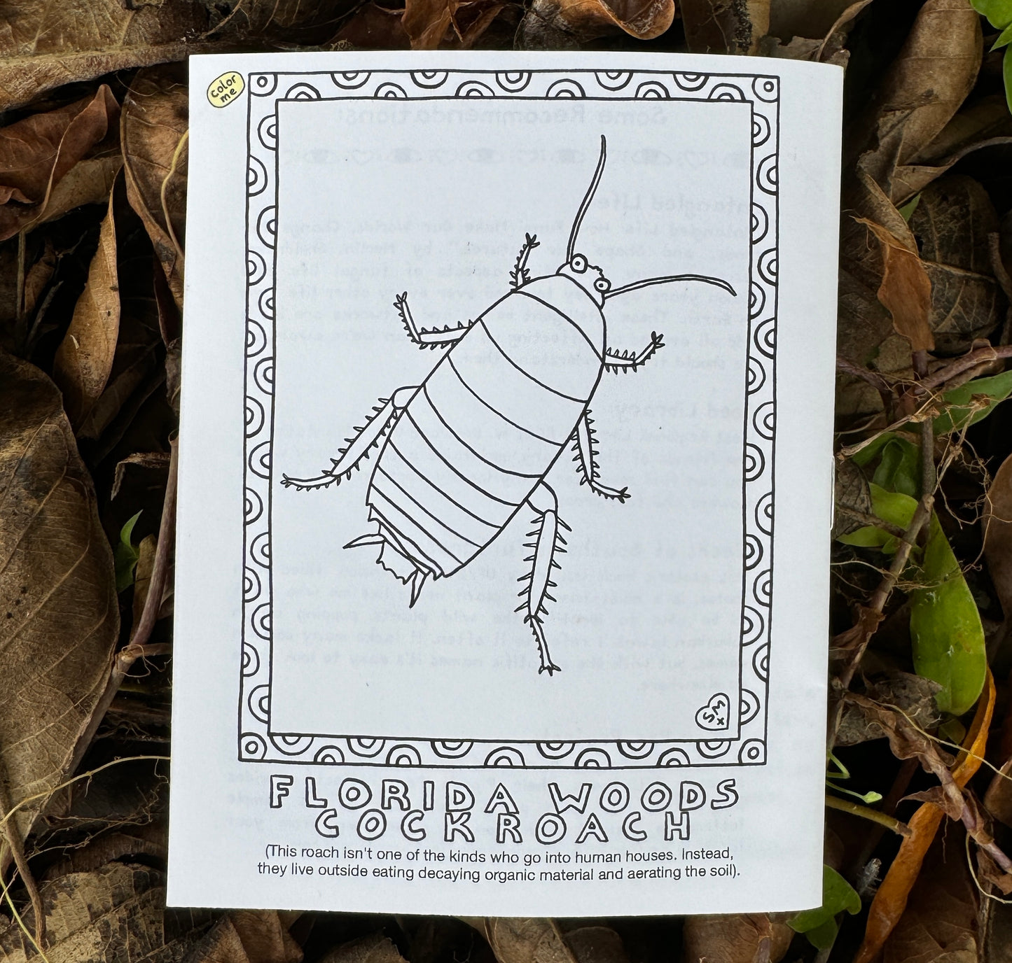 Grounding - by mail, monthly subscription