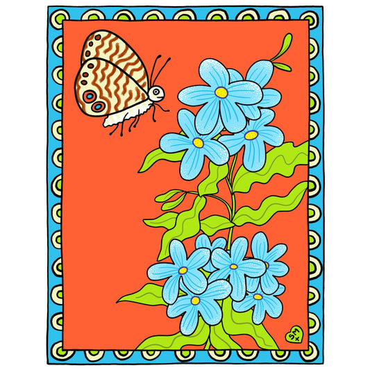 Cassius Blue + Plumbago