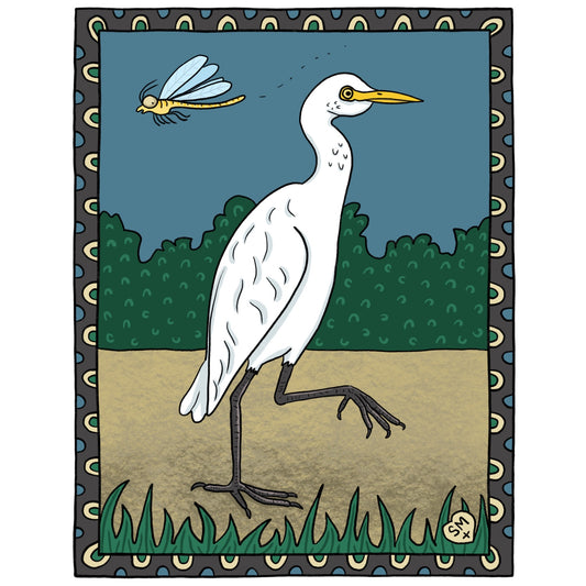 Cattle Egret
