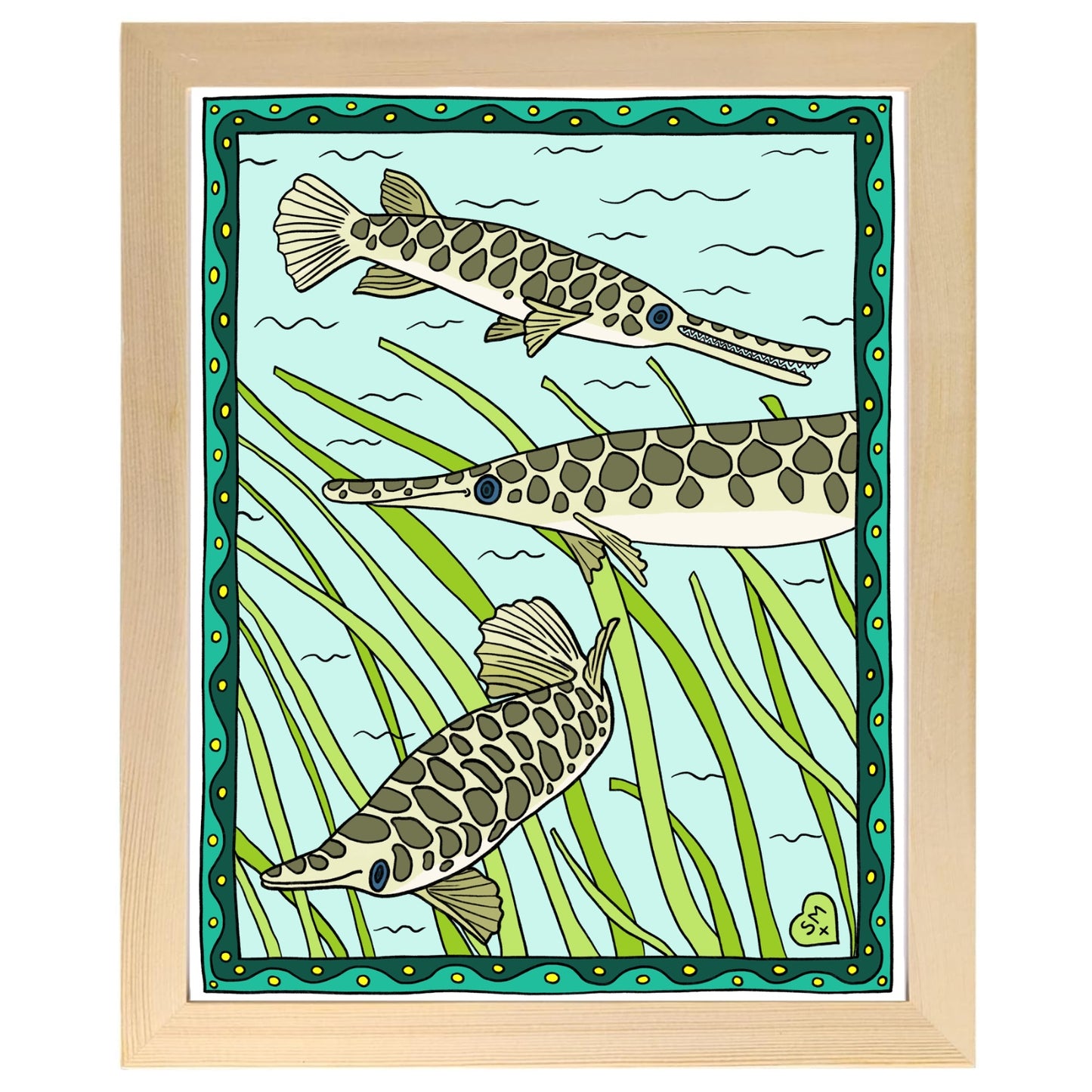 Florida Gar