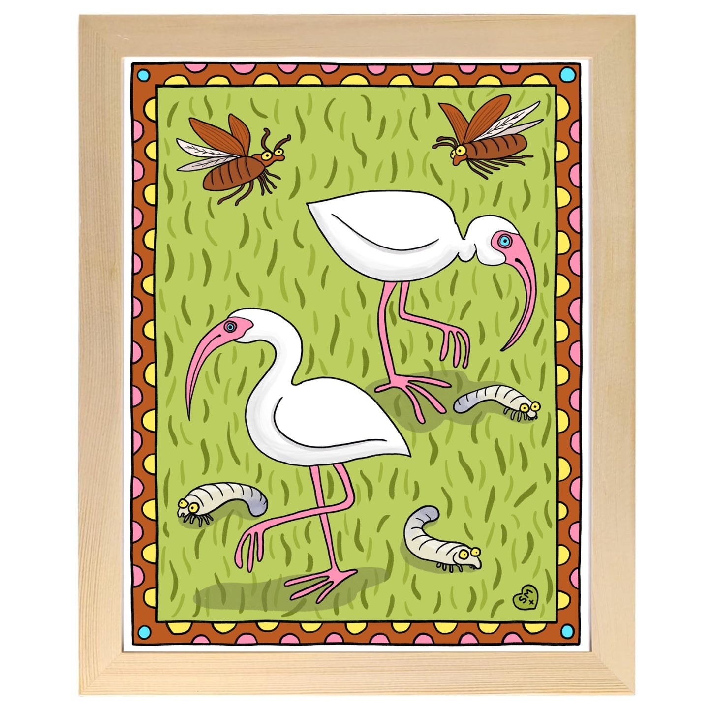 Ibis + Junebug
