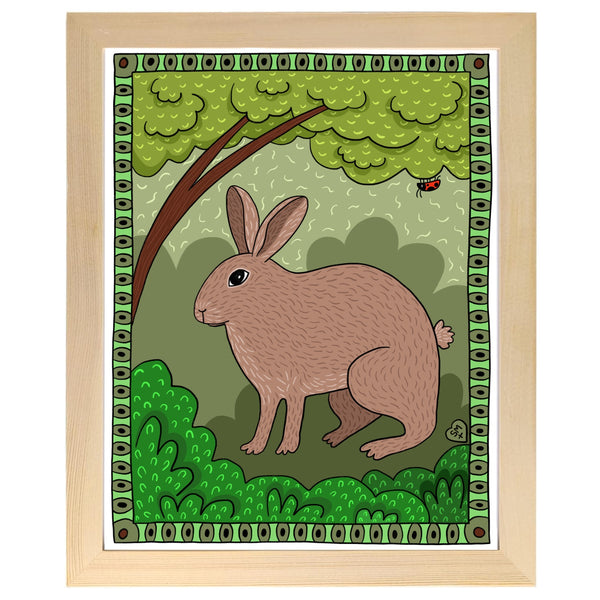 Marsh Rabbit