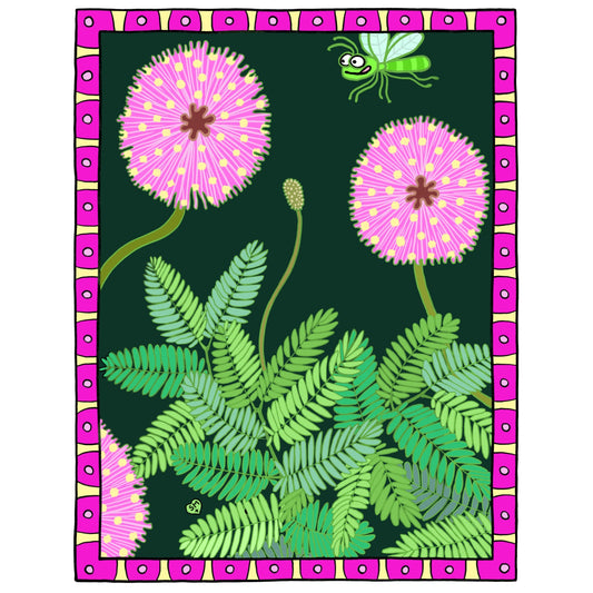 Sunshine Mimosa