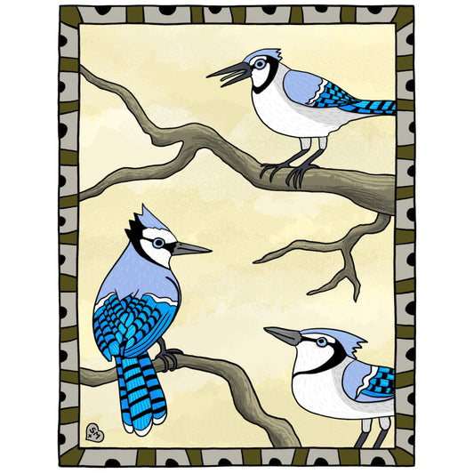 Blue Jay