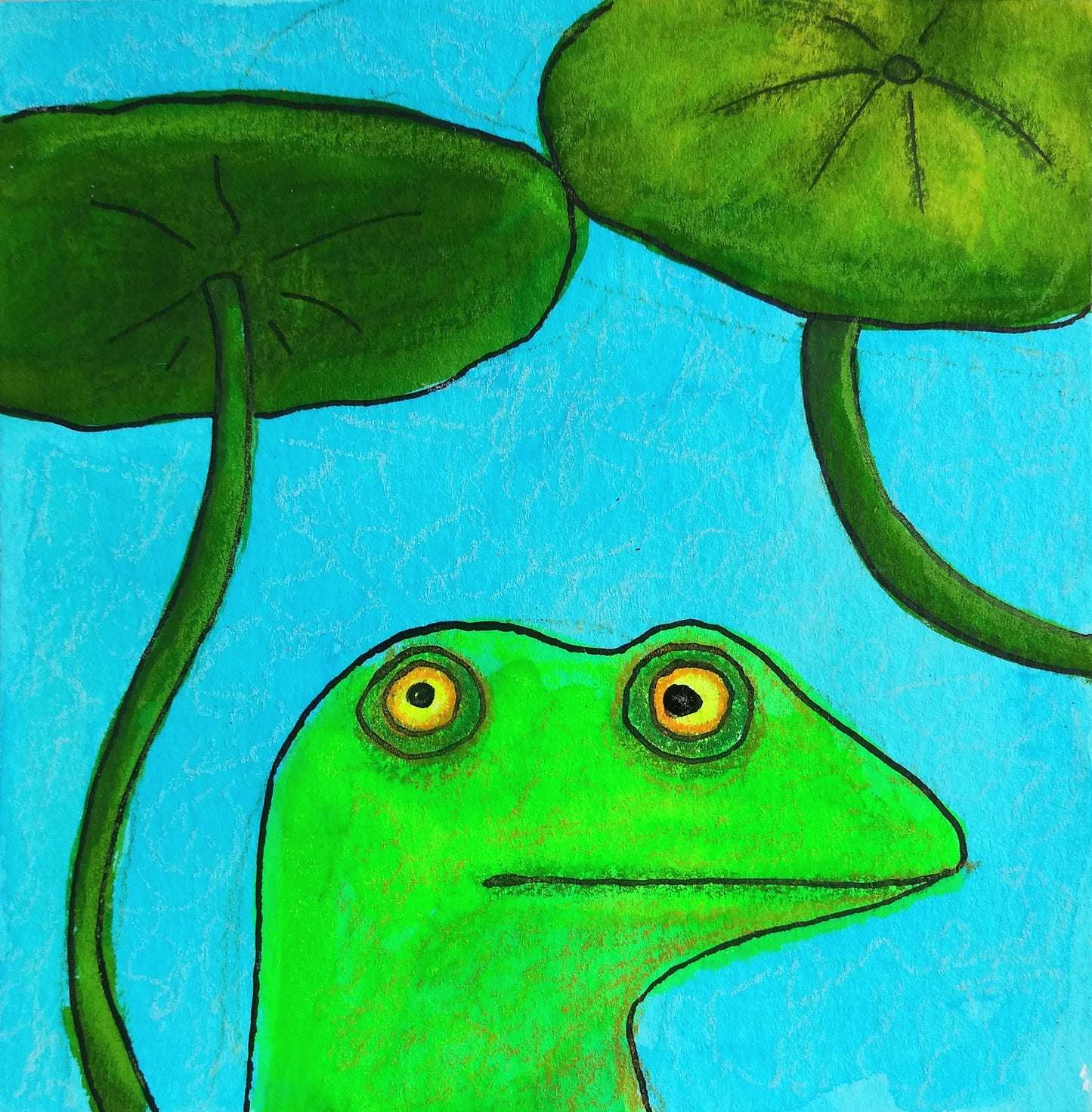 Lizard + Dollarweed