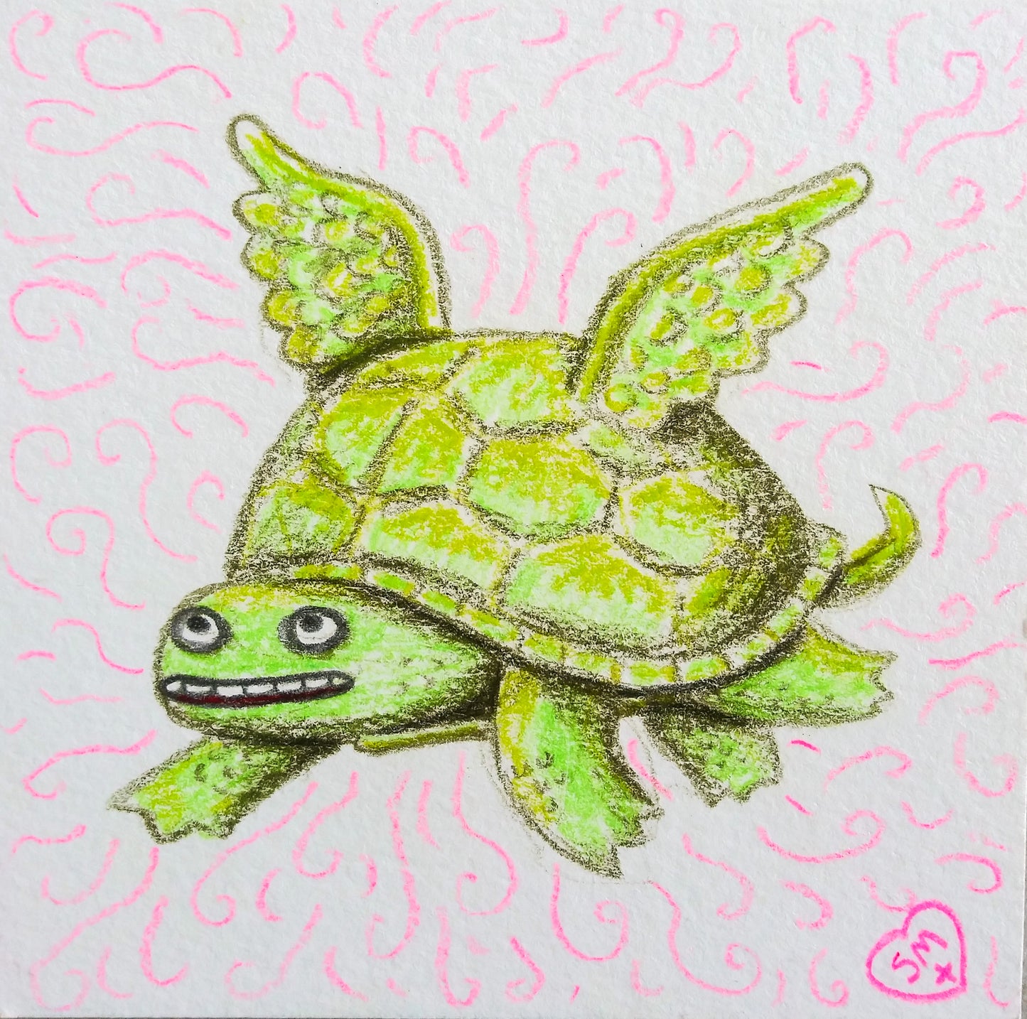 Flying Turtle