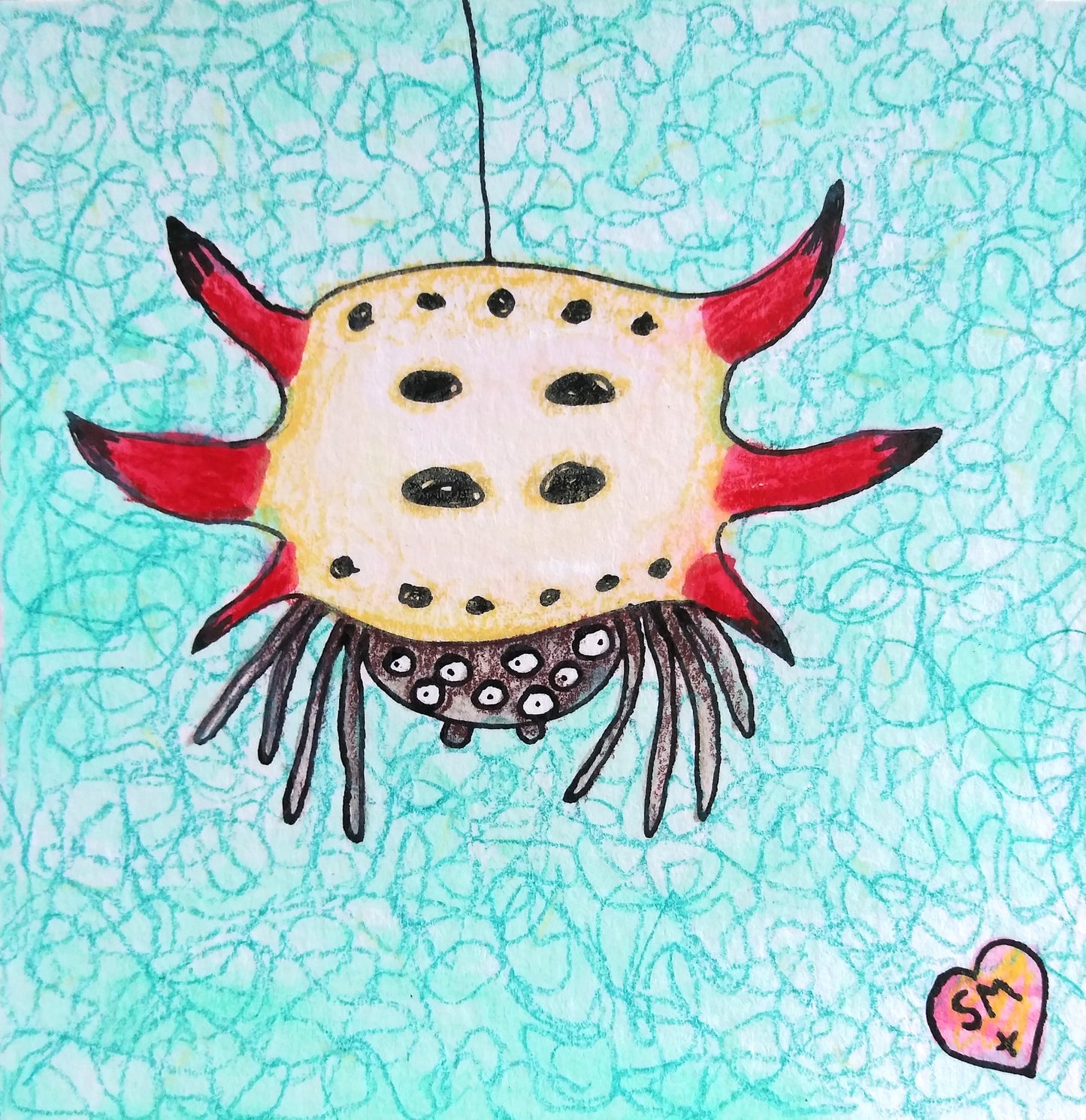 Hello Spiny Orbweaver